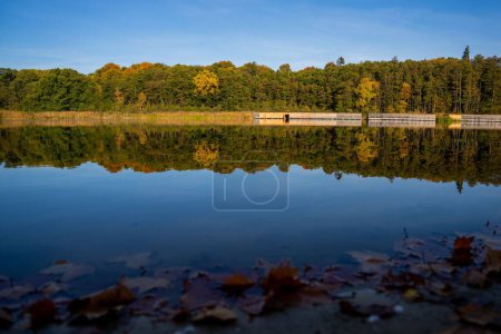 Foto de El reflejo de los coloridos árboles de un parque de otoño en el lago quieto bajo el cielo azul - Imagen libre de derechos