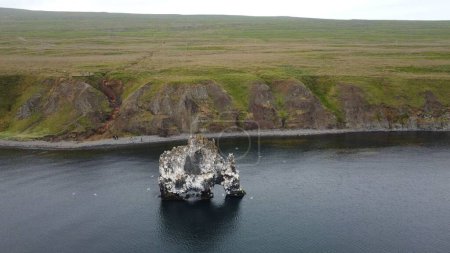 Foto de Una escena de paisaje de la pila de basalto rocoso Hvitserkur a lo largo de la orilla de la península, Islandia - Imagen libre de derechos