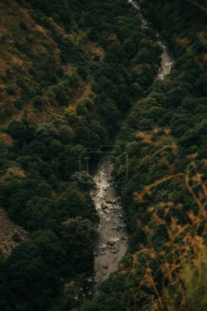 Téléchargez les photos : Vue aérienne de la rivière étroite entourée d'arbres verts luxuriants - en image libre de droit