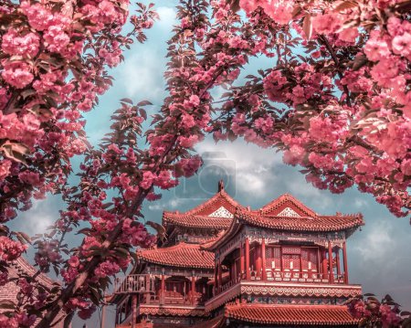 Photo for An Asian traditional building with blooming pink flowers - Royalty Free Image
