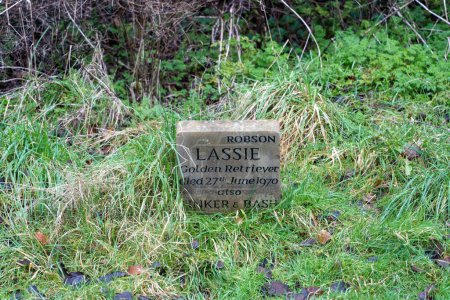 Téléchargez les photos : Petite pierre tombale des années 1970 commémorant un animal de compagnie aimé, dans le cimetière pour animaux de compagnie dans le parc public de Jesmond Dene, Newcastle upon Tyne, Royaume-Uni. - en image libre de droit