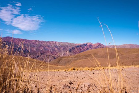Photo for The road leading to the Seven Colors Hill in the village of Purmamarca, Quebrada de Humahuaca, Argentina - Royalty Free Image