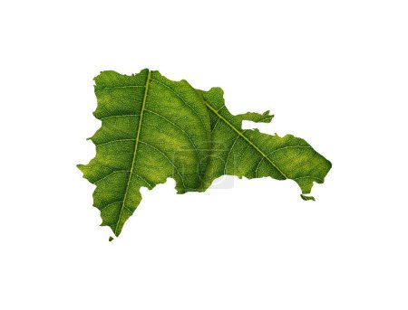 Foto de Una ilustración en 3D del mapa dominicano hecho de hojas verdes sobre fondo blanco - concepto de ecología - Imagen libre de derechos