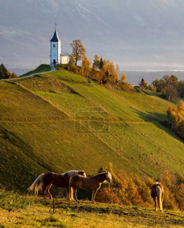 Téléchargez les photos : Un plan vertical de chevaux près de l'église Saint-Primoz et Felicijan sur une colline sempervirente à Jamnik - en image libre de droit
