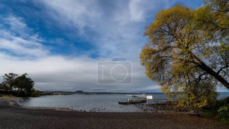 Foto de Un tiro de dron de un muelle de madera en la superficie del lago con un árbol en su costa en Nueva Zelanda - Imagen libre de derechos