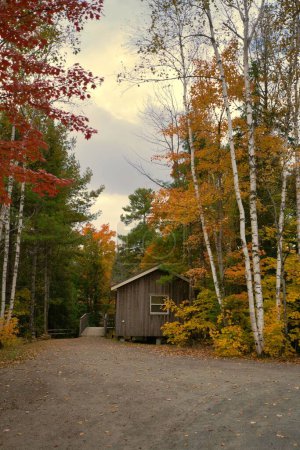 Foto de Un plano vertical de una casa de madera en el bosque en Canadá - Imagen libre de derechos