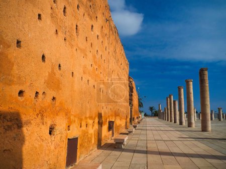 Téléchargez les photos : L'immense mur et les nombreuses colonnes du complexe mosquée inachevé, Hassan Tower, Rabat, Maroc - en image libre de droit