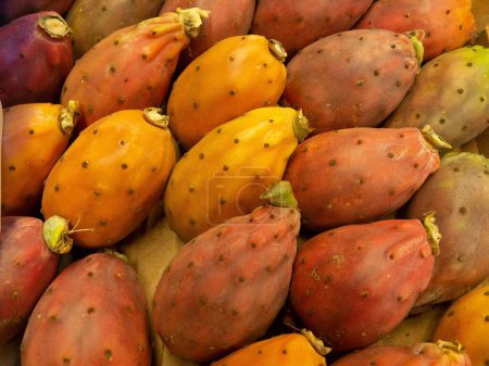 Téléchargez les photos : Plan rapproché de plusieurs fruits uniformément espacés de poires piquantes - en image libre de droit