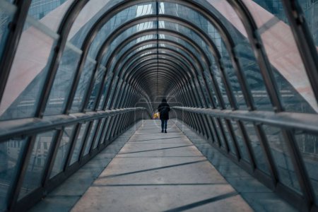 Téléchargez les photos : Une femme qui marche seule sur le pont du Japon, Paris, France - en image libre de droit