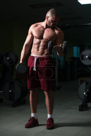 Photo for A Caucasian Good Looking Attractive Male exercising Weight with dumbbells training In Gym - Royalty Free Image