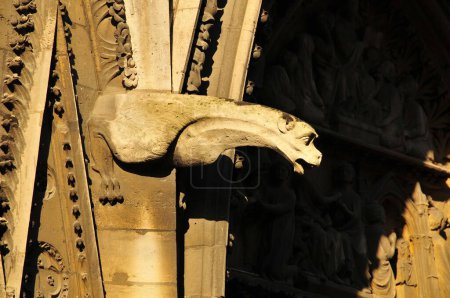 Foto de Las gárgolas de la catedral de Notre Dame (boquillas de drenaje talladas diseñadas para llevar el agua de lluvia de un edificio), París, Francia - Imagen libre de derechos