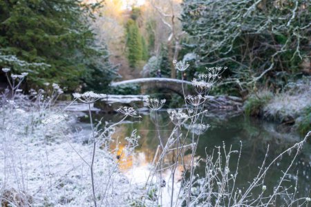 Foto de Condiciones climáticas heladas en invierno en Jesmond Dene, un parque público en Newcastle upon Tyne, Reino Unido junto al río Ouseburn. - Imagen libre de derechos