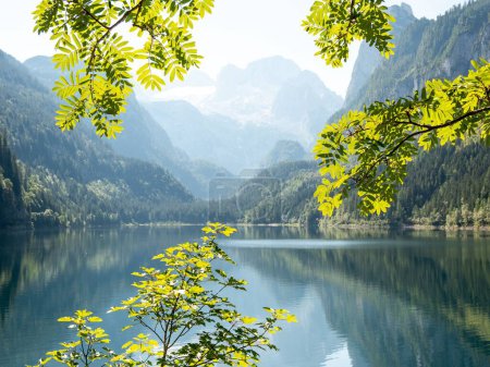 Téléchargez les photos : Une vue panoramique sur le lac Front Gosau près de la ville de Gosau, Autriche avec des feuilles au premier plan - en image libre de droit