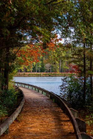 A vertical of a pier on a lake against autumn trees at Cheraw State Park in Chesterfield County, South Carolina