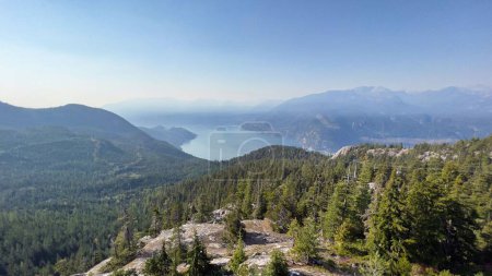 Téléchargez les photos : Vue aérienne d'une belle forêt près du lac en Colombie-Britannique, Canada - en image libre de droit