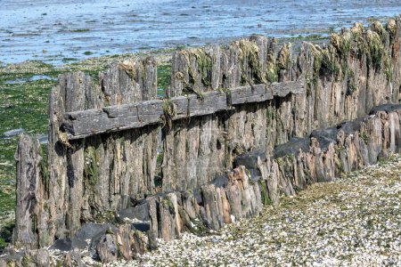 Photo for An old weathered wooden fence by a beach on a sunny day - Royalty Free Image