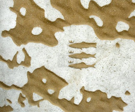 Téléchargez les photos : Le drapeau de Scheveningen, La Haye, Pays-Bas composé de trois harengs couronnés sur une dalle de pavage avec du sable de plage soufflé par le vent. - en image libre de droit