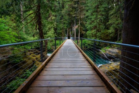 A beautiful view of a forest bridge corssing in the Pacific Northwest