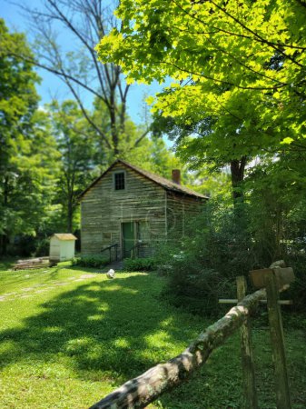Foto de Un plano vertical de la pequeña casa de madera con un hermoso parque rodeado de árboles y hierba verde durante el día - Imagen libre de derechos