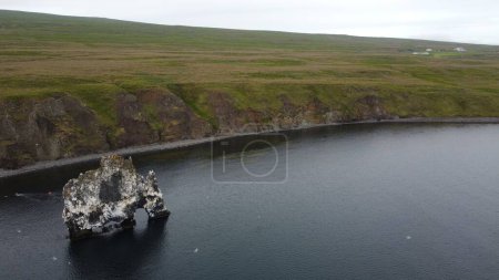 Foto de Una escena de paisaje de la pila de basalto rocoso Hvitserkur a lo largo de la orilla de la hierba en Islandia - Imagen libre de derechos