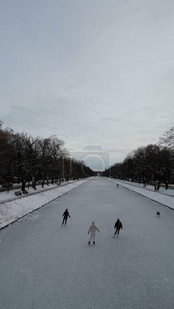 Téléchargez les photos : Un plan vertical d'arbres sans feuilles alignés le long d'une patinoire, avec des femelles patinant par une journée d'hiver givrée - en image libre de droit