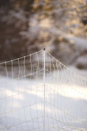 Foto de Una vertical de una cerca eléctrica portátil para pastoreo rotacional y control de animales en un bosque cubierto de nieve - Imagen libre de derechos