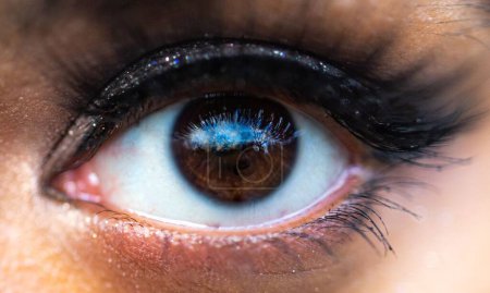 Foto de Un primer plano del ojo femenino con largas pestañas negras y sombra de ojos de brillo oscuro - Imagen libre de derechos