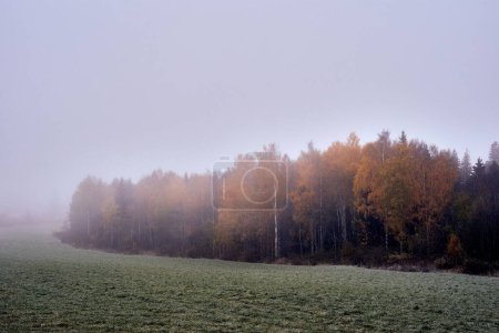 Photo for A foggy morning of rural Toten, Norway - Royalty Free Image