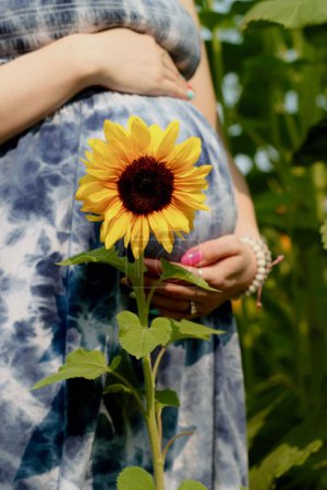 Photo for A vertical shot of s of a pregnant woman holding her belly by a sunflower - Royalty Free Image