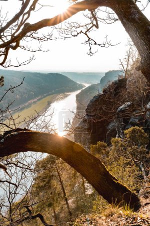 Téléchargez les photos : Vue verticale des rochers, des arbres et de l'Elbe Bastei, en Saxe, près de Dresde, en Allemagne - en image libre de droit