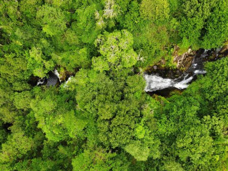 Foto de Vista de pájaro de las cascadas en Kerry Irlanda rodeada de frondosos árboles verdes - Imagen libre de derechos