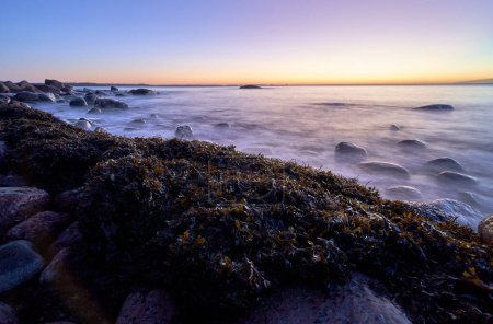Photo for A beautiful shot of big mossy rocks on sea coastline - Royalty Free Image