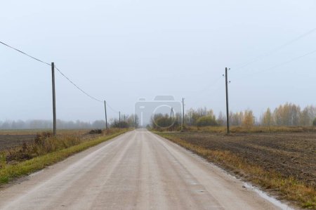 Téléchargez les photos : Une route vide entourée de champs secs par une journée brumeuse - en image libre de droit