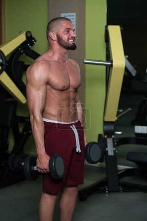 Photo for A Caucasian Good Looking Attractive Male exercising Weight with dumbbells training In Gym - Royalty Free Image