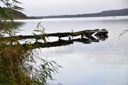 Téléchargez les photos : Une jetée en bois dans la rivière avec le reflet - en image libre de droit