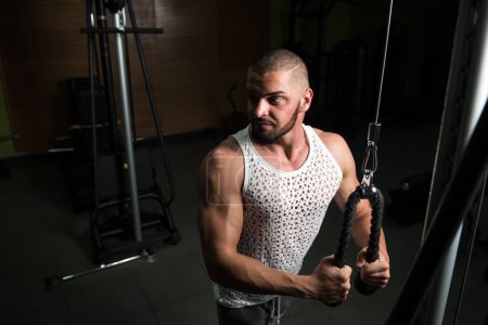 Téléchargez les photos : Portrait d'un modèle de fitness attrayant travaillant à la salle de gym - en image libre de droit
