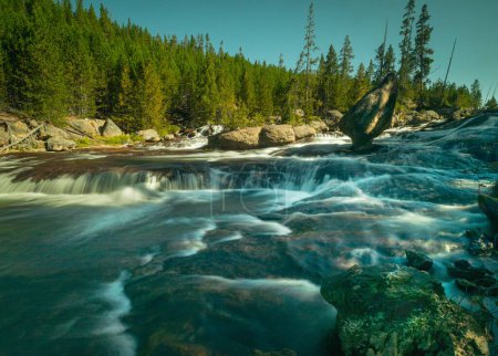 Téléchargez les photos : Une scène de paysage de la paisible rivière Gibbon au parc Yellowstone avec des arbres à bois - en image libre de droit