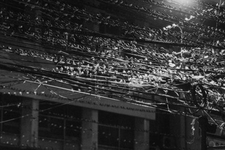 Foto de Un tiro a escala de grises de muchos pájaros en cables de la calle - Imagen libre de derechos