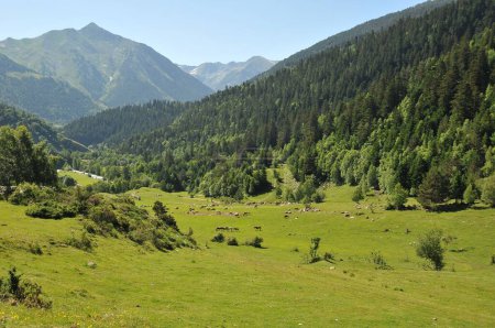 Foto de Un paisaje pintoresco del Parque Regional de los Pirineos Catalanes durante el día en Francia - Imagen libre de derechos