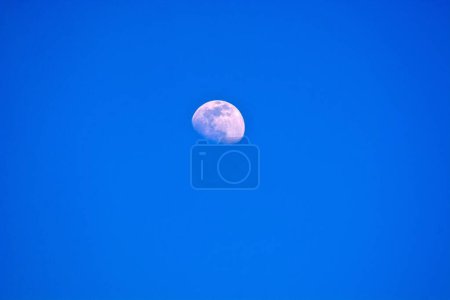 Téléchargez les photos : Une belle lune avec ses cratères vus dans le ciel clair de jour - en image libre de droit