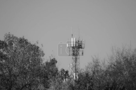 Téléchargez les photos : Un plan en niveaux de gris d'une tour de téléphonie cellulaire avec des arbres au premier plan - en image libre de droit