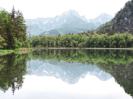 Téléchargez les photos : Un beau cliché du lac d'Alm reflétant l'environnement près du village Grunau im Almtal - en image libre de droit