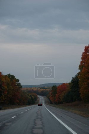Téléchargez les photos : Une longue route traversant une belle forêt colorée pendant la saison automnale - en image libre de droit