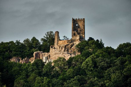 Téléchargez les photos : Un plan horizontal du château médiéval Drachenfels sur une colline dans la forêt de Koenigswinter, Allemagne - en image libre de droit