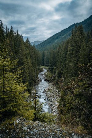 Photo for A vertical of a calm river surrounded by the dense green forest and mountains under the cloudy sky - Royalty Free Image