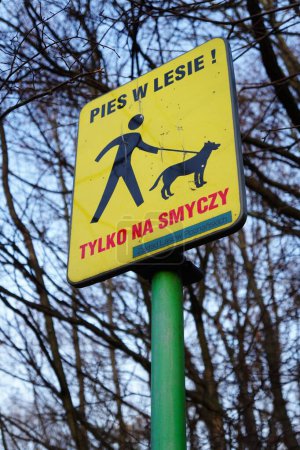 Téléchargez les photos : Un tir à angle bas d'un panneau indiquant que les chiens doivent être tenus en laisse - en image libre de droit