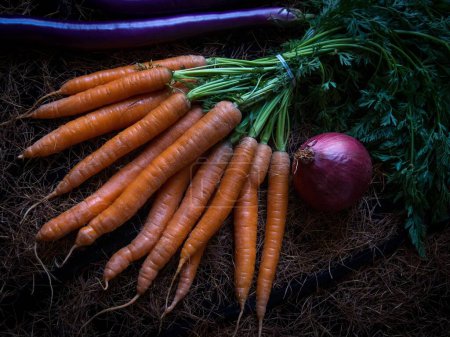 Photo for An artful composition of different kinds of vegetables in vivid color, a bundle of wild carrots and a red onion - Royalty Free Image