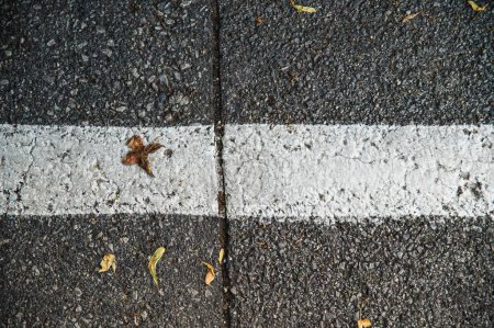 Photo for An overhead shot of an asphalt road with white road pain markings - Royalty Free Image