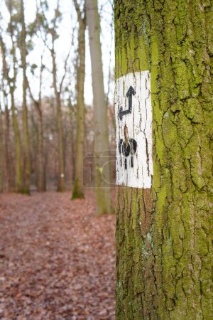 Téléchargez les photos : Vue latérale d'un tronc d'arbre avec un panneau directionnel peint - en image libre de droit