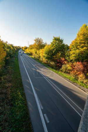 Téléchargez les photos : Un plan vertical d'une route asphaltée entourée d'arbres colorés par une journée ensoleillée - en image libre de droit